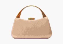 Clutch Hand Bag